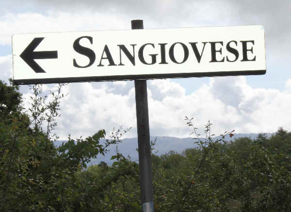 Sangiovese