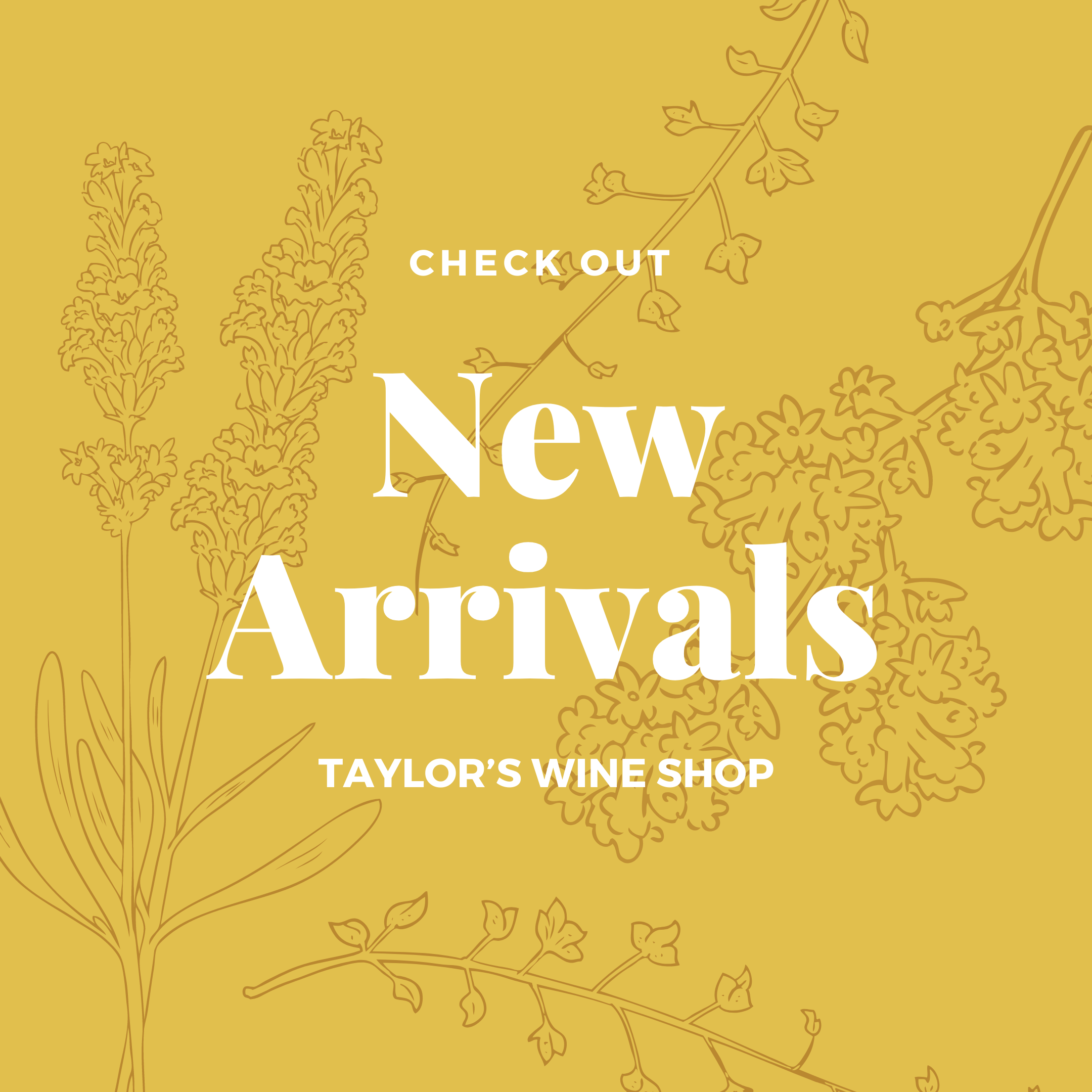 Newest Products